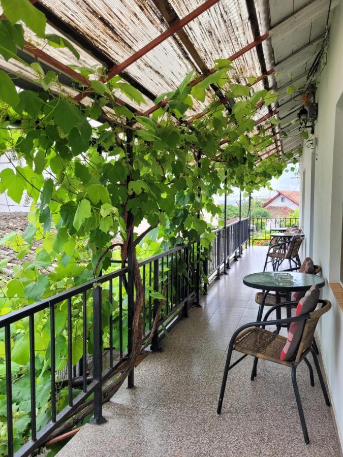 Vila Didi, Mangalia Bagian luar foto