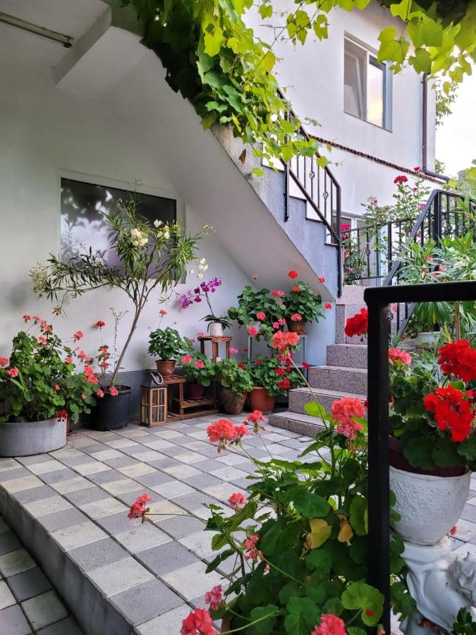 Vila Didi, Mangalia Bagian luar foto