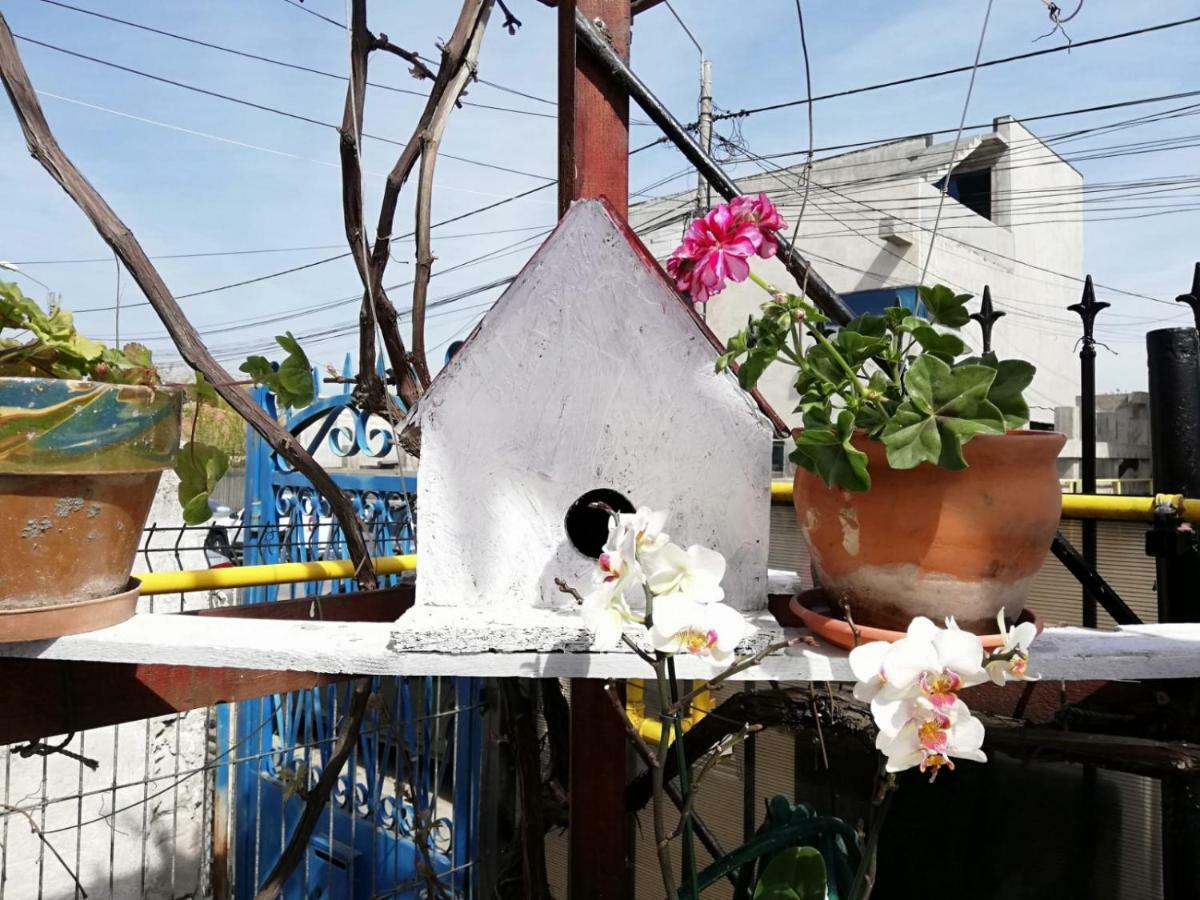 Vila Didi, Mangalia Bagian luar foto
